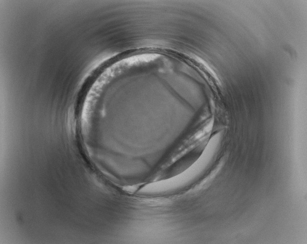 X0000116591117201001071228