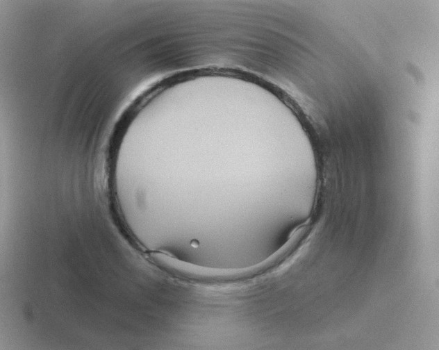 X0000116591118201001071228