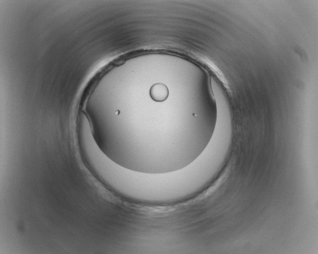 X0000116591122201001071228