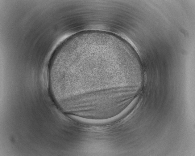 X0000116591123201001071228