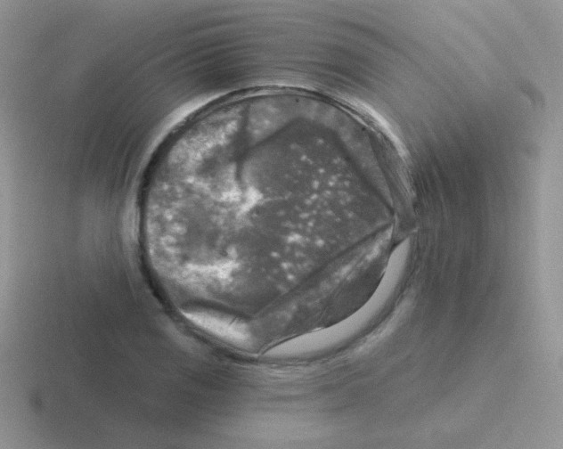 X0000116591125201001071228