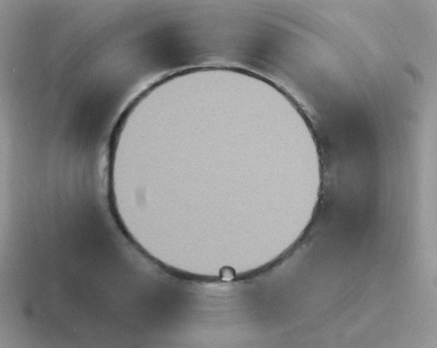 X0000116591126201001071228