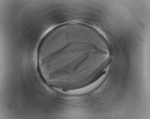 X0000116591127201001071228