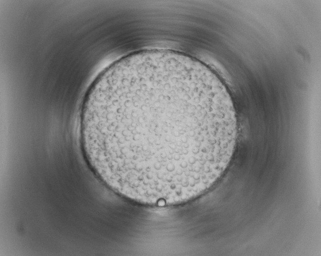 X0000116591130201001071229