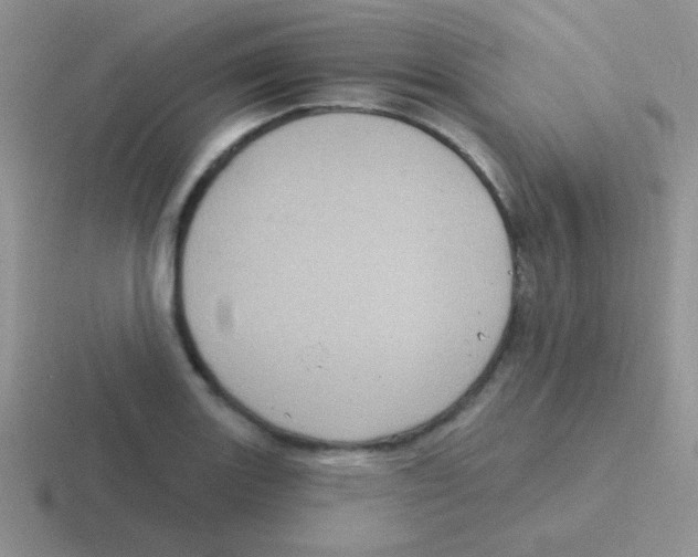 X0000116591131201001071229