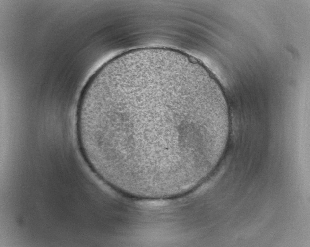 X0000116591134201001071229