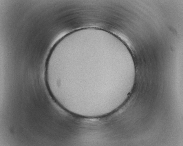 X0000116591135201001071229