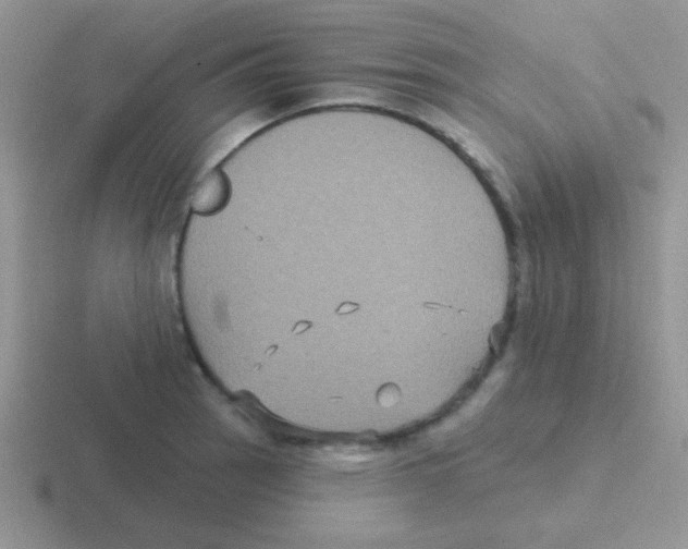 X0000116591137201001071229