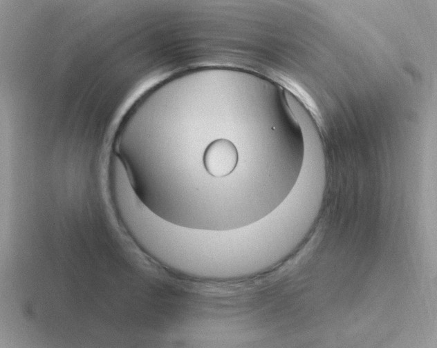 X0000116591138201001071229