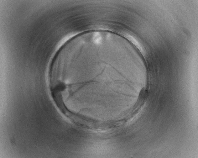 X0000116591141201001071229