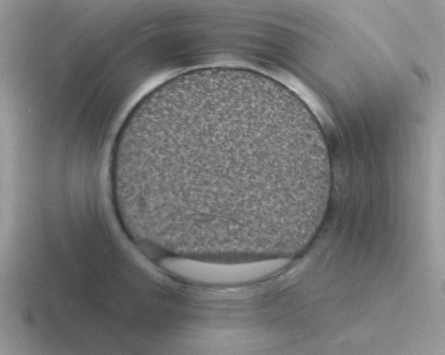 X0000116591142201001071229