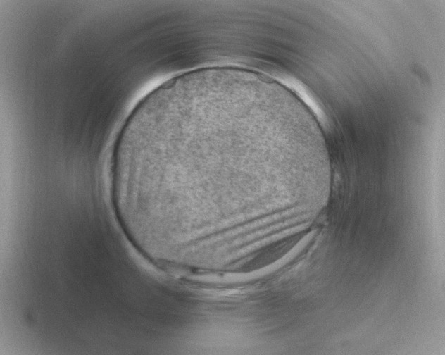 X0000116591143201001071229