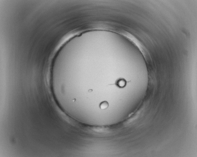 X0000116591147201001071229