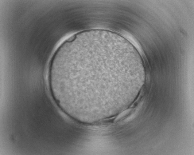 X0000116591149201001071229