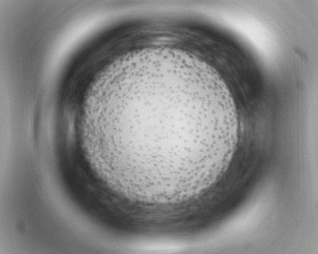 X0000116591150201001071229