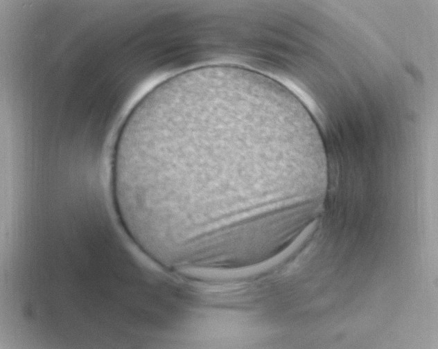 X0000116591151201001071229