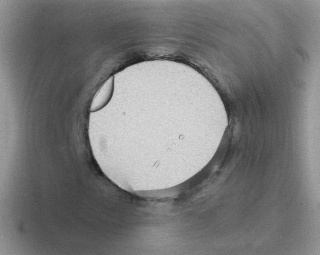 X0000116591153201001071228