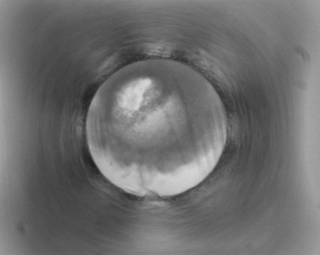 X0000116591154201001071228