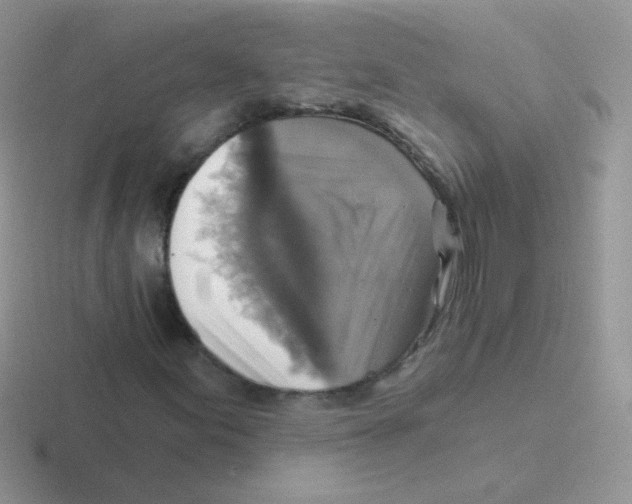 X0000116591155201001071228