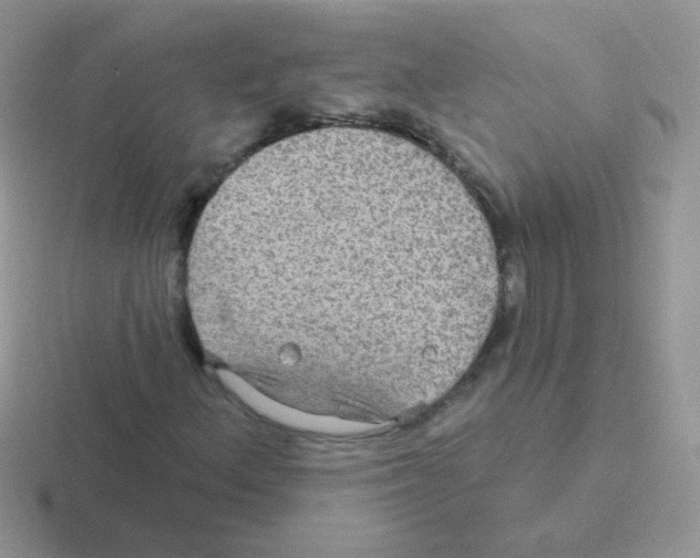 X0000116591156201001071228