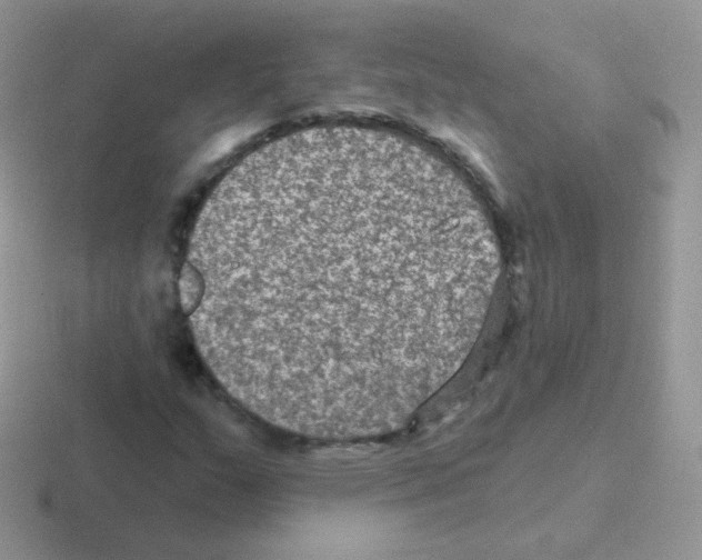 X0000116591159201001071228