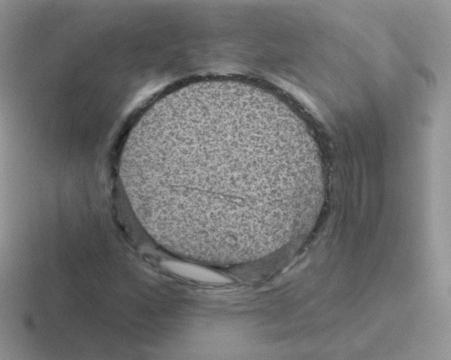 X0000116591160201001071228