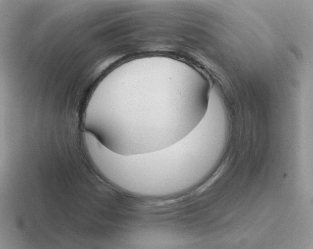 X0000116591161201001071228