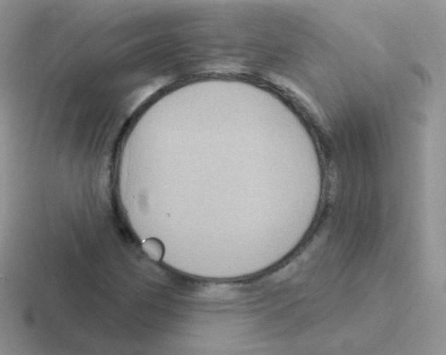 X0000116591162201001071228