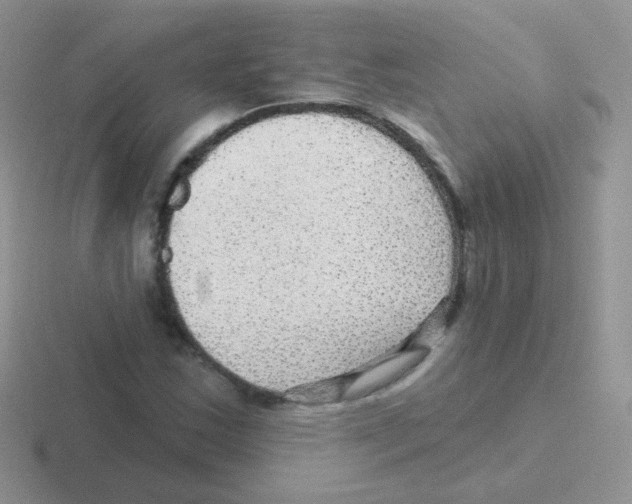 X0000116591163201001071228