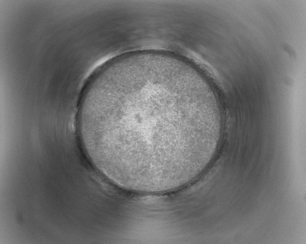 X0000116591166201001071228