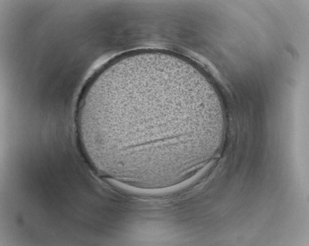 X0000116591168201001071228