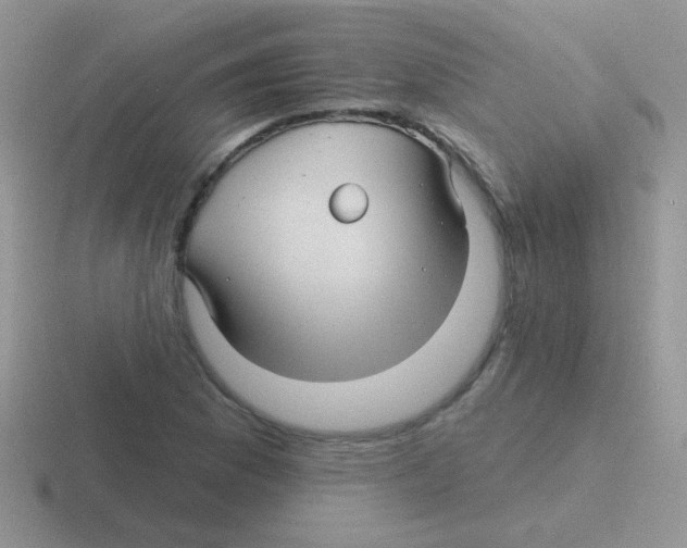 X0000116591169201001071228