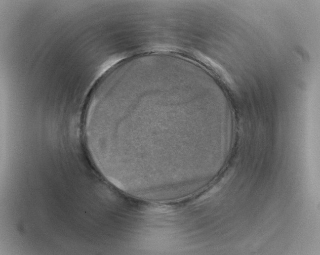 X0000116591170201001071228