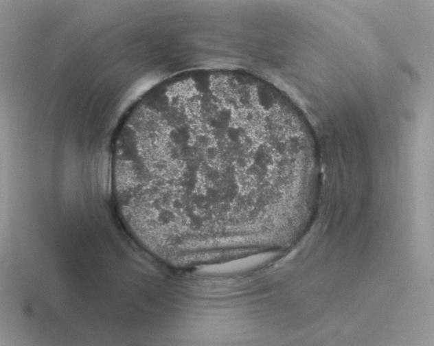 X0000116591171201001071228