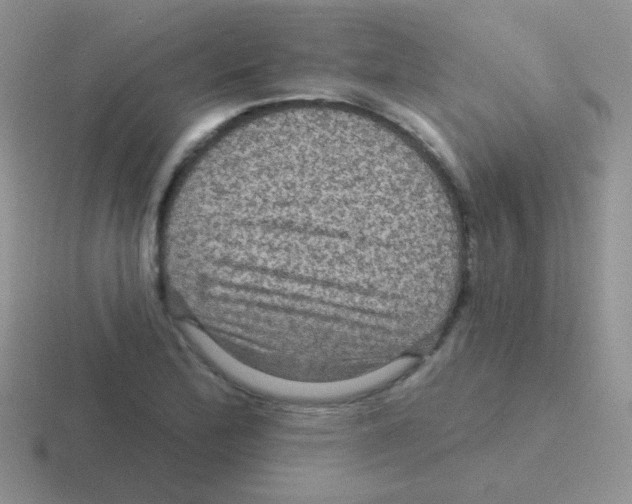 X0000116591172201001071228