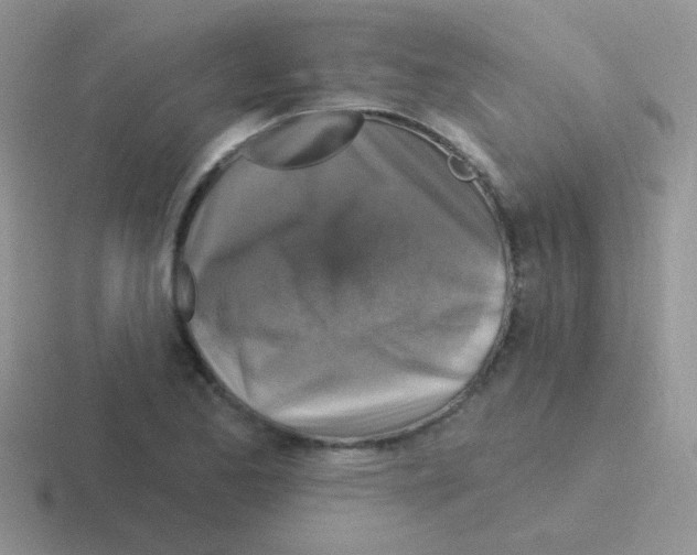 X0000116591173201001071228