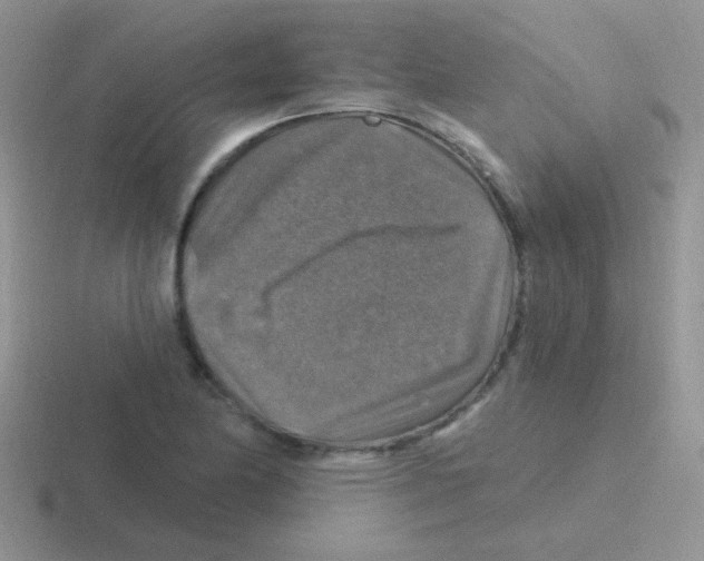 X0000116591174201001071228