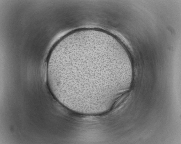 X0000116591175201001071228