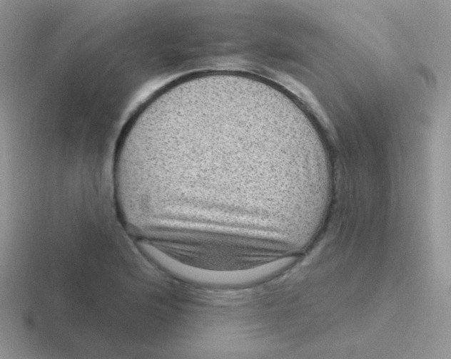 X0000116591176201001071228