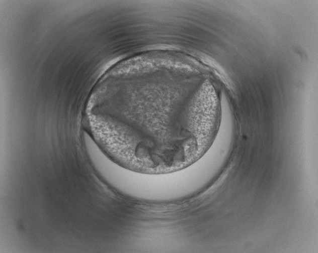 X0000116591177201001071228