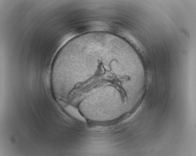 X0000116591178201001071228