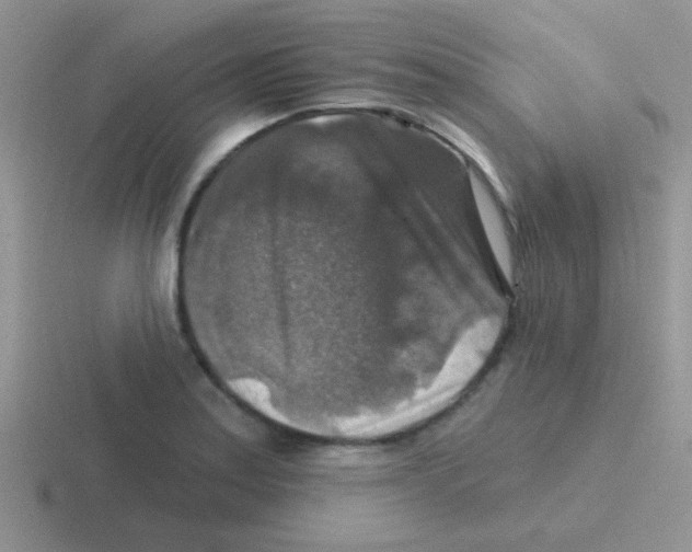 X0000116591179201001071228