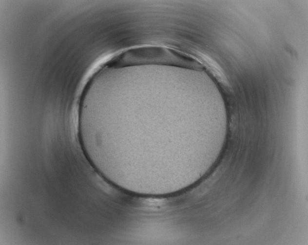 X0000116591180201001071228