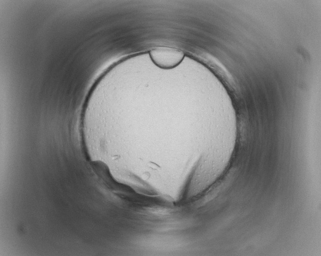 X0000116591182201001071228