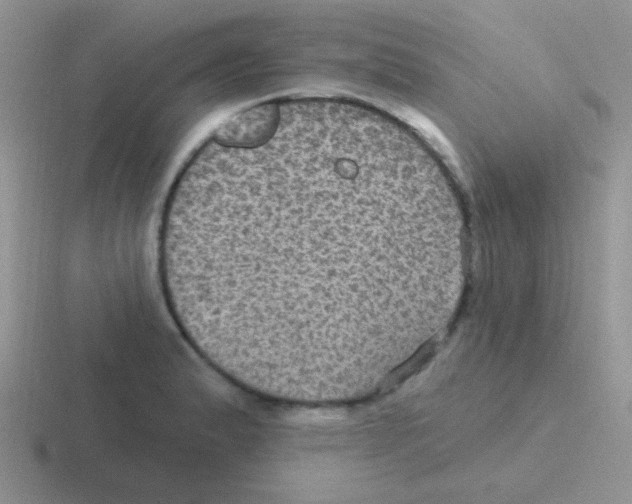 X0000116591183201001071228