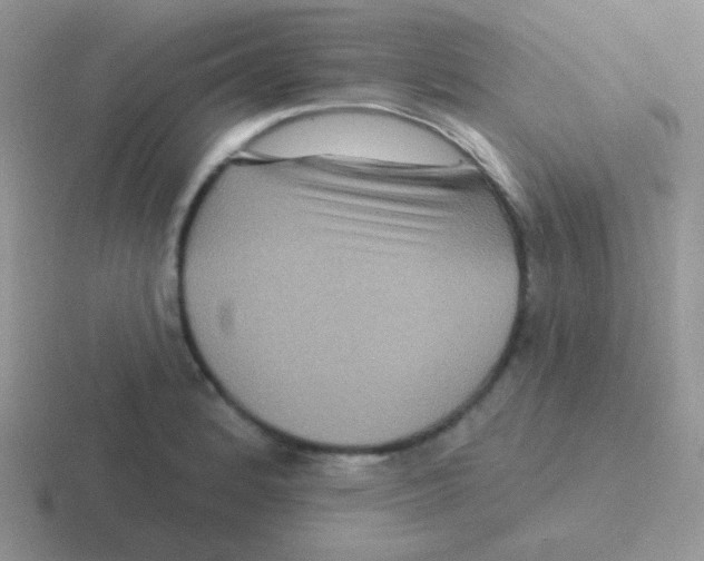 X0000116591184201001071228