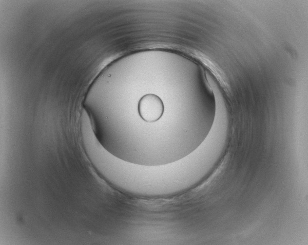 X0000116591185201001071228