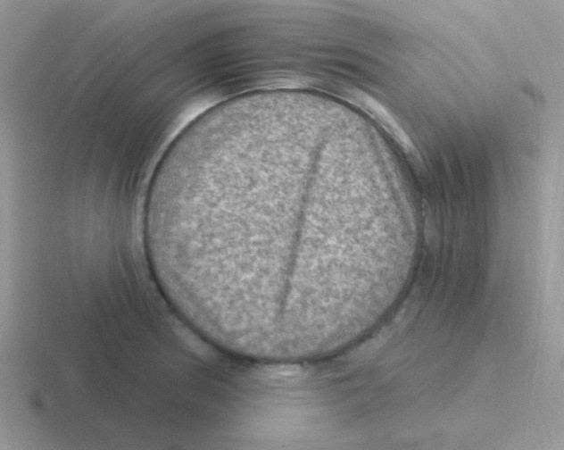 X0000116591186201001071228