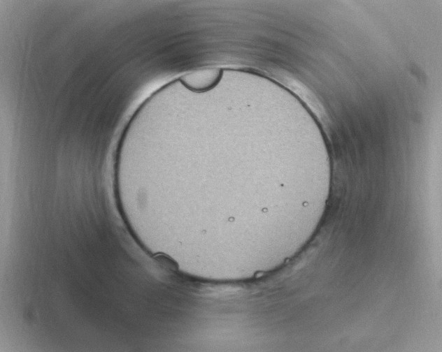 X0000116591187201001071228