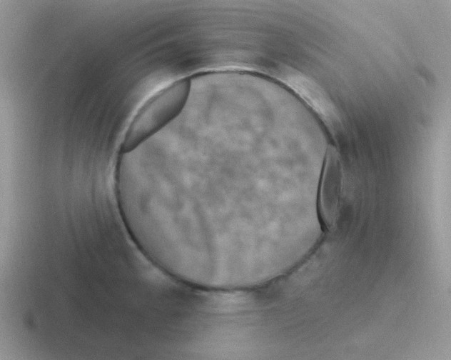 X0000116591189201001071228